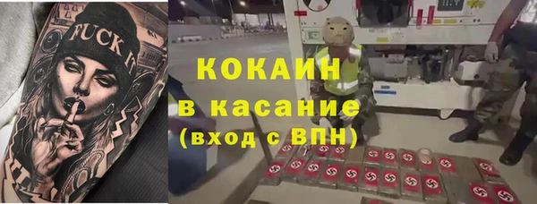 твердый Алзамай