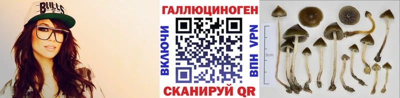 Галлюциногенные грибы GOLDEN TEACHER  Орехово-Зуево 